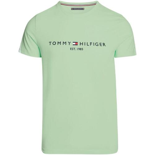textil Hombre Camisetas manga corta Tommy Hilfiger TOMMY LOGO TEE Verde