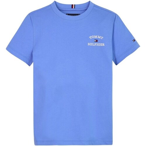 textil Niño Camisetas manga larga Tommy Hilfiger KB0KB08807 Azul