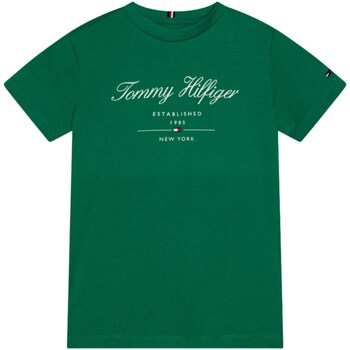 textil Niño Camisetas manga larga Tommy Hilfiger KB0KB08803 Verde