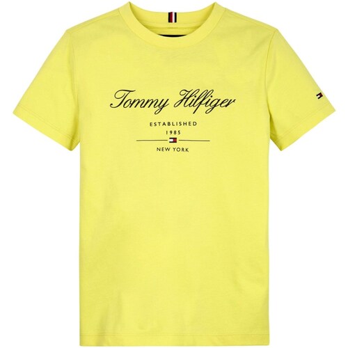 textil Niño Camisetas manga larga Tommy Hilfiger KB0KB08803 Amarillo