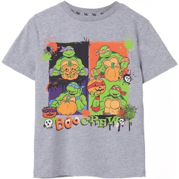 textil Niños Camisetas manga corta Teenage Mutant Ninja Turtles Boo Crew Gris