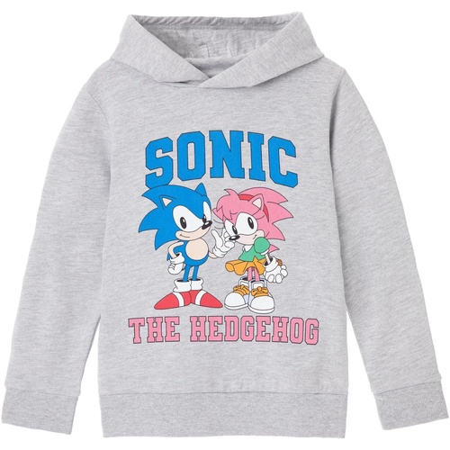 textil Niña Sudaderas Sonic The Hedgehog Collegiate Gris