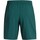 textil Hombre Shorts / Bermudas Under Armour Ua Woven Wdmk Shorts Verde