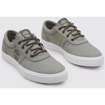 Timberland MYLO BAY LOW LACE UP Gris