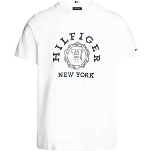 textil Camisetas manga corta Tommy Hilfiger HILFIGER COIN TEE Blanco