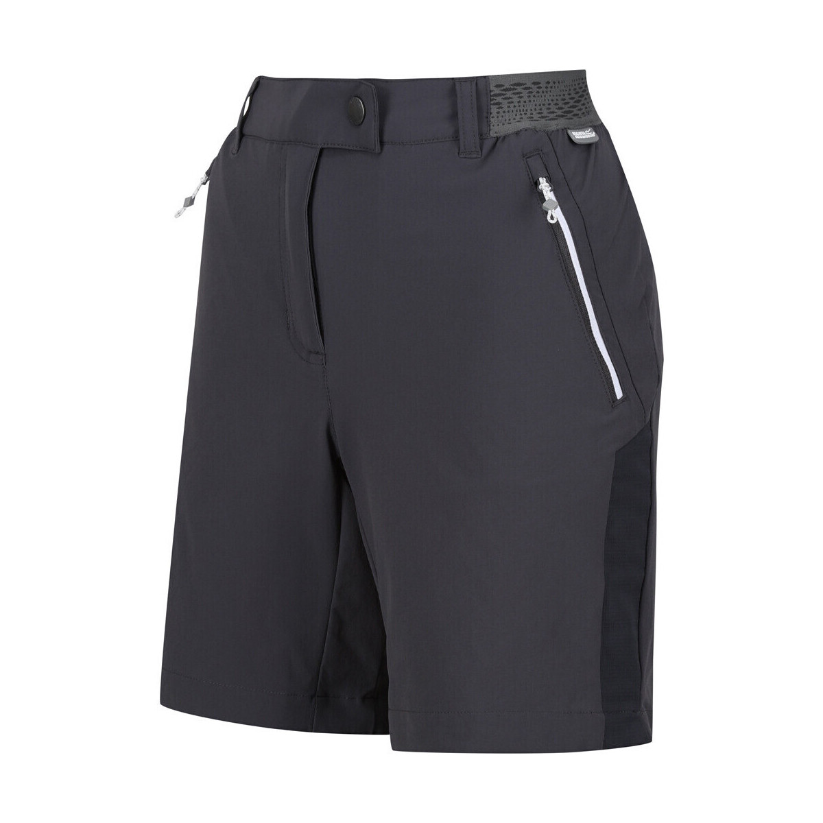 textil Mujer Shorts / Bermudas Regatta Mountain ShortsII Gris