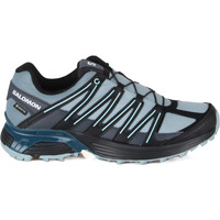 Zapatos Mujer Running / trail Salomon XT BACKBONE PRIME GTX W Negro