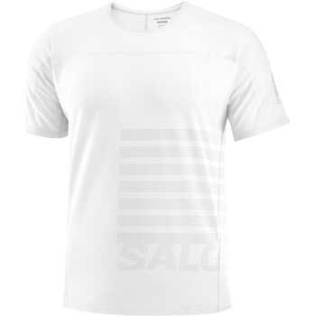 textil Hombre Camisetas manga corta Salomon SENSE AERO SS TEE GFX M Blanco