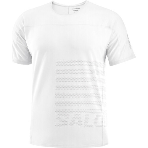 textil Hombre Camisetas manga corta Salomon SENSE AERO SS TEE GFX M Blanco