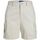 textil Mujer Shorts / Bermudas Jjxx 12225955 HOLLY CARGO SHORTS-MOONBEAM Beige