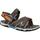 Zapatos Niños Sandalias Timberland A5X6Z ADVENTURE SEEKER Gris