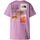 textil Hombre Tops y Camisetas The North Face NF0A882V W FOUNDATION MOUNTAIN-PO2 MINERAL PURPLE Violeta