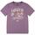 textil Niño Tops y Camisetas Levi's LVB COASTLINE VIEW TEE Violeta