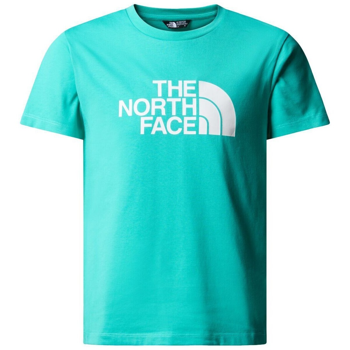 textil Niños Tops y Camisetas The North Face NF0A87T6 B S/S EASY TEE-PIN GEYSER Azul