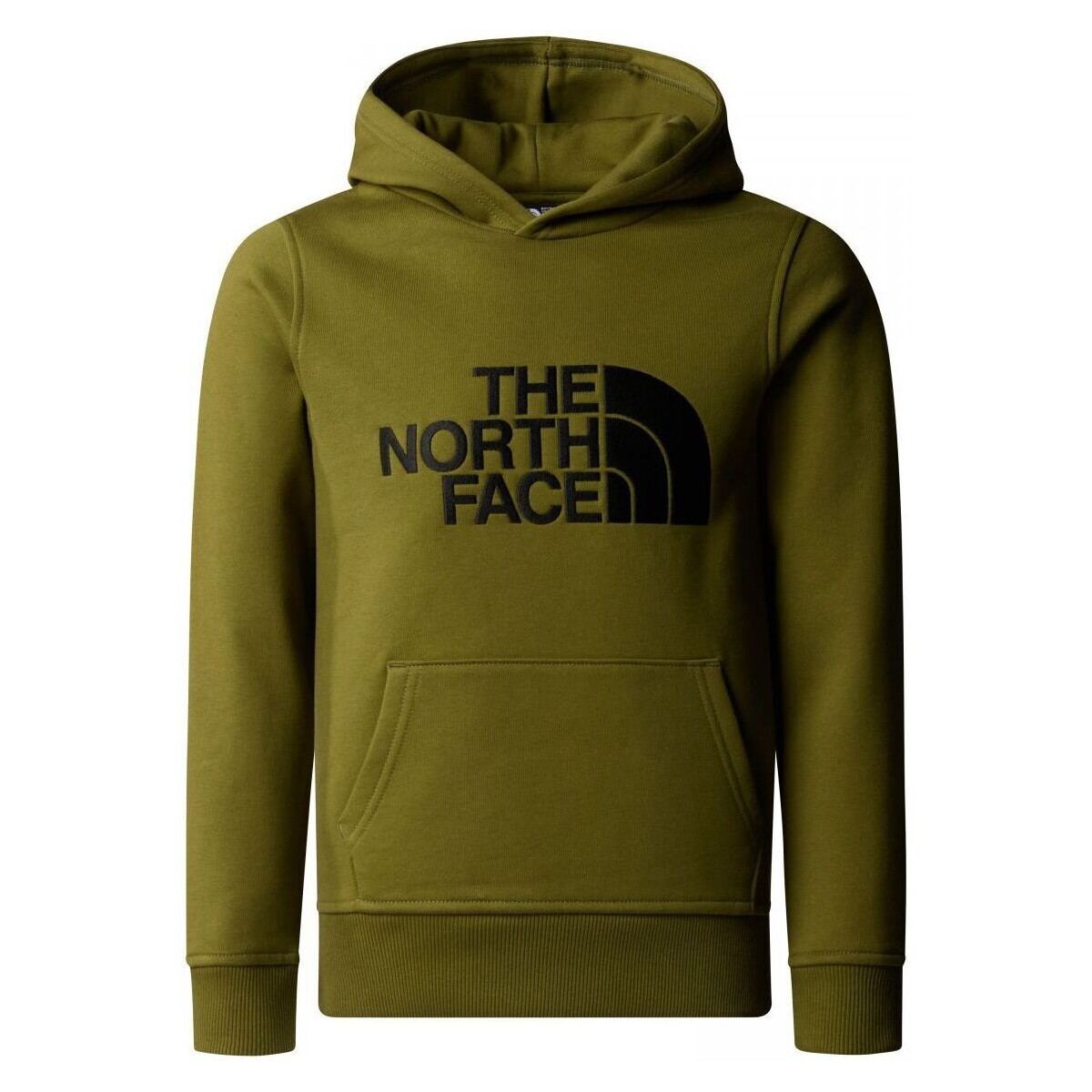 textil Niños Sudaderas The North Face NF0A89PS B DREW HD-SPI FOREST Verde