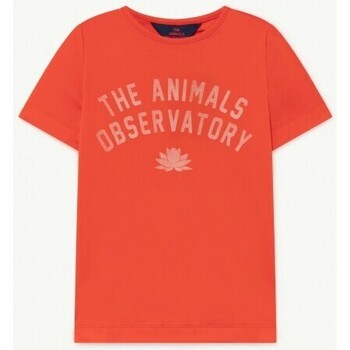 textil Niños Tops y Camisetas The Animals Observatory S21132 Rojo