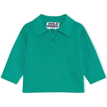 textil Mujer Jerséis Wild Pony Knit 10603 - Green Verde
