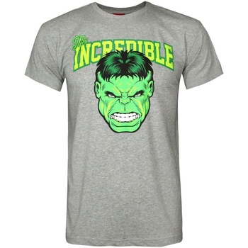 textil Hombre Camisetas manga larga Hulk NS7942 Gris