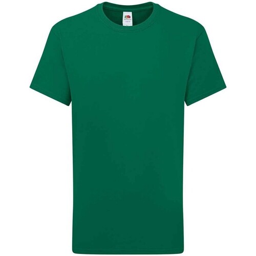 textil Niños Tops y Camisetas Fruit Of The Loom Iconic 195 Premium Verde