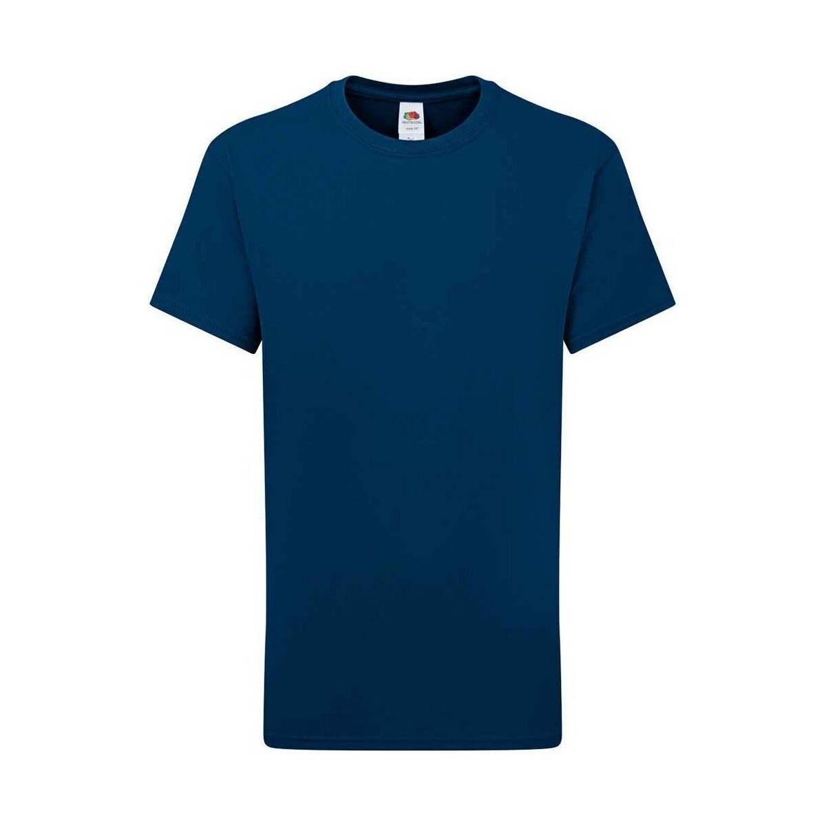 textil Niños Camisetas manga corta Fruit Of The Loom Iconic 195 Premium Azul