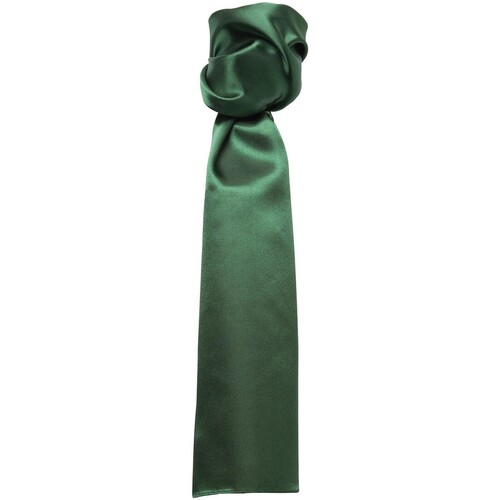 textil Corbatas y accesorios Premier PR730 Verde