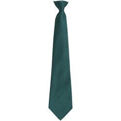 textil Corbatas y accesorios Premier Colours Fashion Verde