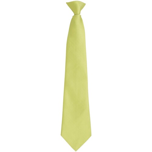 textil Corbatas y accesorios Premier PR785 Verde