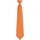 textil Corbatas y accesorios Premier Colours Fashion Naranja
