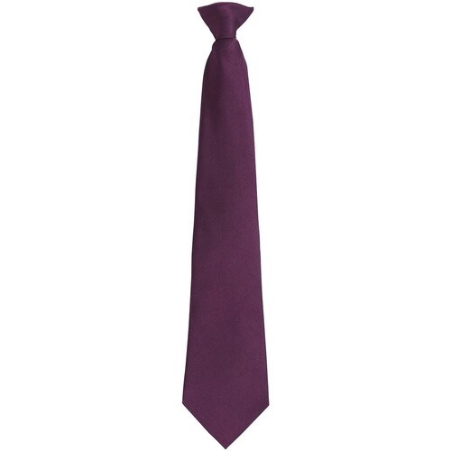 textil Corbatas y accesorios Premier Colours Fashion Violeta