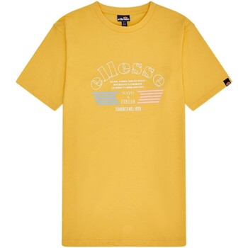 textil Hombre Camisetas manga corta Ellesse  Amarillo