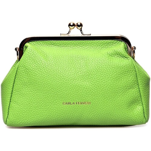 Bolsos Mujer Bolso pequeño / Cartera Carla Ferreri Clutch bag Verde
