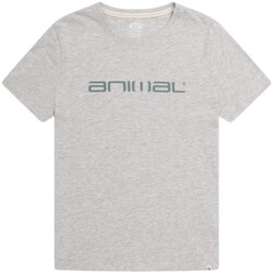 textil Mujer Camisetas manga larga Animal Marina Gris