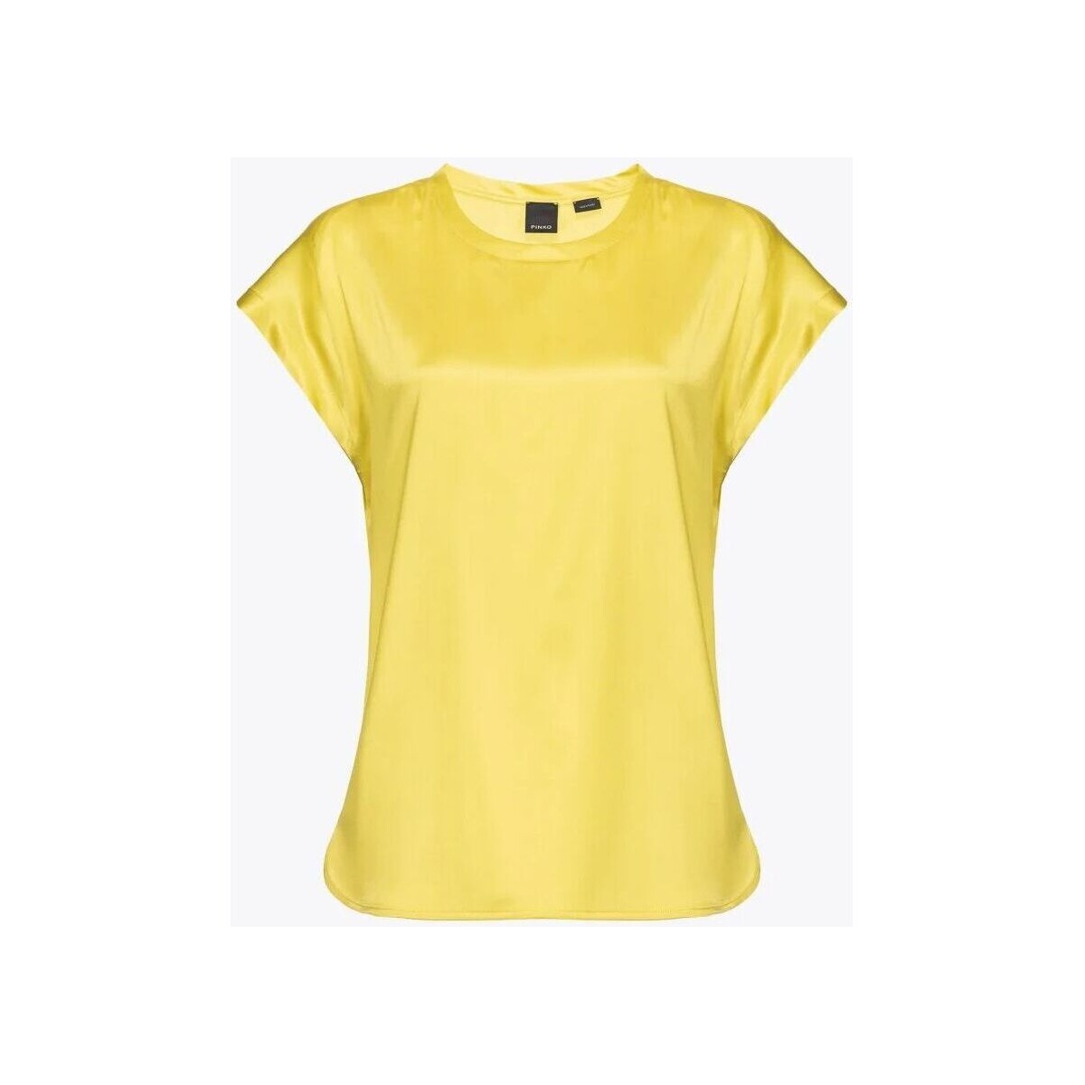 textil Mujer Camisas Pinko FARIDA 100100 A1RJ-H17 Amarillo
