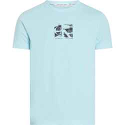 textil Hombre Camisetas manga corta Calvin Klein Jeans CAMISETA  SMALL BOX LOGO HOMBRE 