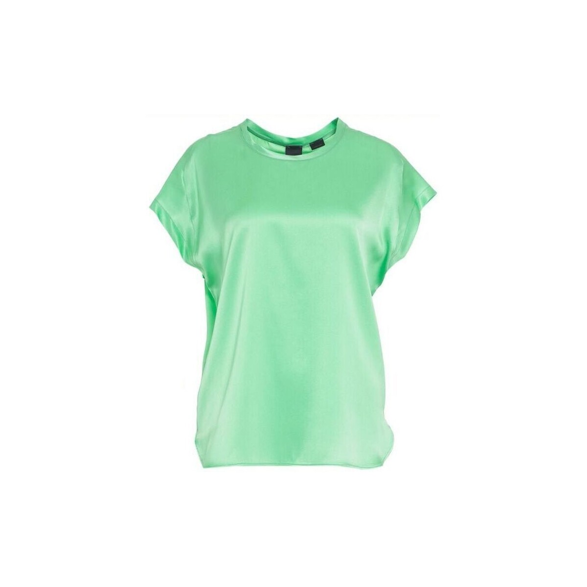 textil Mujer Camisas Pinko FARIDA 100100 A1RJ-T38 Verde