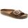 Zapatos Mujer Sandalias Birkenstock MADRID BIG BUCKLE 1006525-COGNAC Marrón