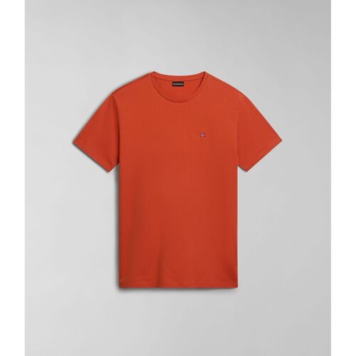 textil Hombre Tops y Camisetas Napapijri SALIS SS SUM NP0A4H8D-621 BURNT ORANGE Naranja