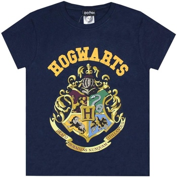 textil Niño Camisetas manga corta Harry Potter NS7817 Azul
