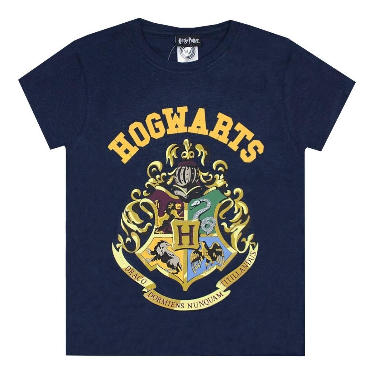textil Niño Camisetas manga corta Harry Potter NS7817 Azul
