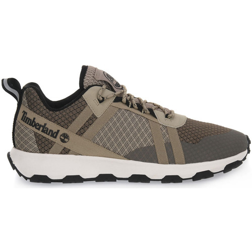 Zapatos Hombre Senderismo Timberland EAB WINSOR TRAIL LOW LACE UP Marrón