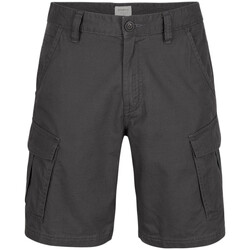 textil Hombre Shorts / Bermudas O'neill  Gris