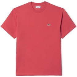 textil Hombre Tops y Camisetas Lacoste Classic Fit T-Shirt - Rose ZV9 Rosa
