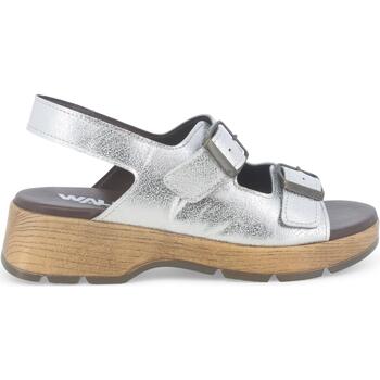 Zapatos Mujer Zuecos (Mules) Melluso R6021W-240214 Plata