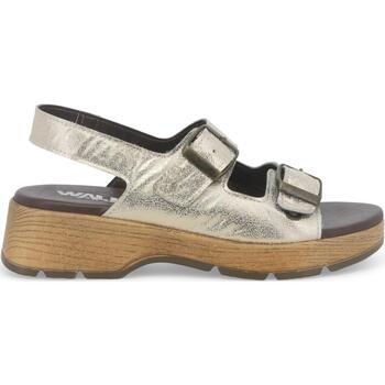 Zapatos Mujer Zuecos (Mules) Melluso R6021W-240215 Oro