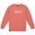 textil Hombre Jerséis Munich Sweatshirt stanley 2507237 Coral Multicolor