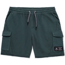 textil Hombre Shorts / Bermudas Munich Bermuda camp Gris