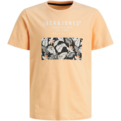 textil Niño Camisetas manga corta Jack & Jones 12249859 JJCHILL SHAPE TEE SS CREW NECK JNR APRICOT Naranja