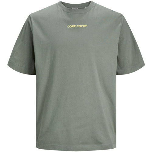 textil Hombre Camisetas manga corta Jack & Jones 12253378 JCOSTAGGER TEE SS CREW NECK AGAVE GREEN Verde