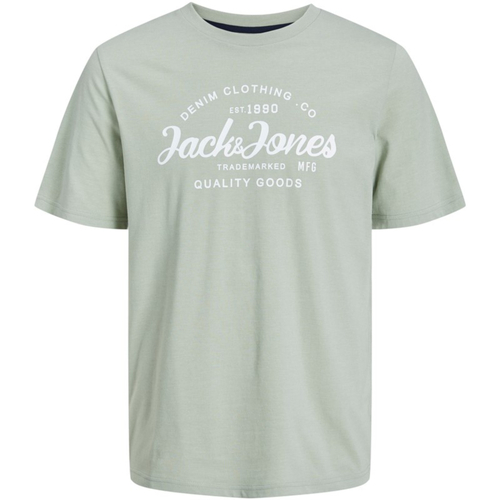 textil Hombre Camisetas manga corta Jack & Jones 12247972 JJFOREST TEE SS CREW NECK DESERT SAGE Verde