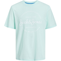 textil Hombre Camisetas manga corta Jack & Jones 12247972 JJFOREST TEE SS CREW NECK SOOTHING SEA Azul